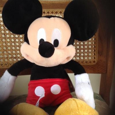 Profile Picture of Howie Ludwig (@HowieCal) on Twitter