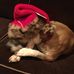 Profile Picture of Joyce Seghers (@joyce.seghers.5) on Facebook