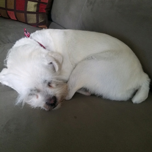 Profile Picture of Linda Ulery (@lindaulery) on Poshmark