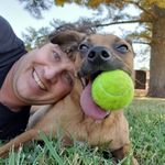 Marc Fourrier - Instagram Profile Picture of Marc Fourrier (@msf.99) on Instagram