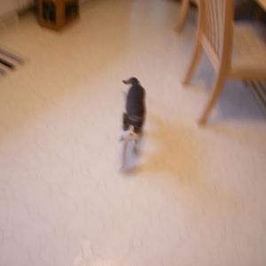 Profile Picture of Emily Tong (@333385221) on Myspace