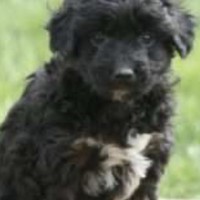 Profile Picture of Adam Ross (@adam-ross-90) on Quora