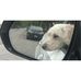 Profile Picture of Jared Knott (@jared.knott.9231) on Facebook