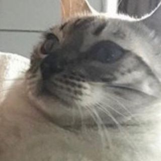 Profile Picture of 정다윤 (@&) on Facebook