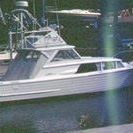 Profile Picture of Ralph Borriello (@2rubberducks) on Pinterest