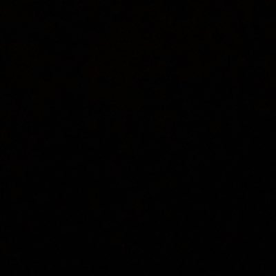 🐾 - Twitter Profile Picture of  🐾 (@Dog_RidleyScott) on Twitter