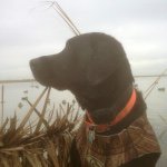 Profile Picture of Steven McClernon (@smcclernon) on Instagram