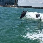 Profile Picture of Nancy Gendron (@nancy.gendron.129) on Instagram