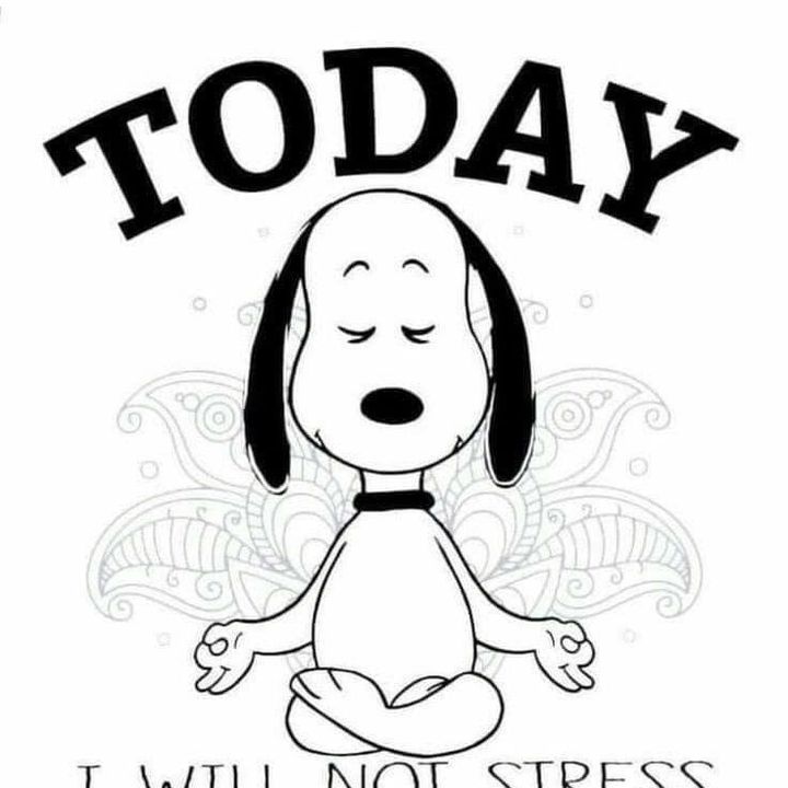 Profile Picture of rahsaanmoorman797 (@rahsaanmoorman797) on Tiktok