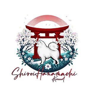 Profile Picture of 𝕆𝕗 𝕊𝕙𝕚𝕣𝕠𝕚 ℍ𝕒𝕟𝕒𝕞𝕒𝕔𝕙𝕚 (@shiroi_hanamachi_kennel) on Instagram