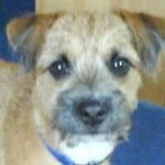 Profile Picture of Mark Nevin (@nev721.mj39) on Instagram