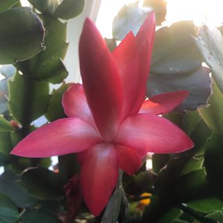 Profile Picture of Mei Zhao (@mie.xioa) on Facebook