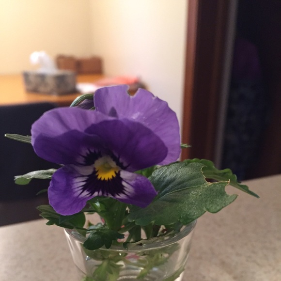 Profile Picture of Marie Wochele (@punky577) on Poshmark