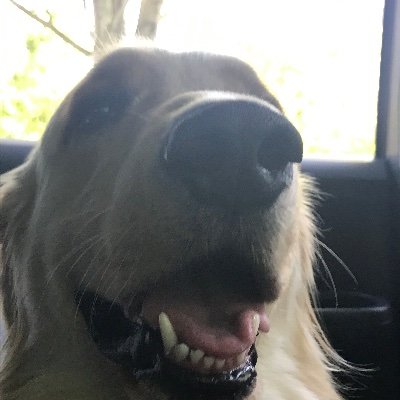 Profile Picture of Devon Malone (@SchwabGabe) on Twitter