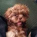 Profile Picture of James Capasso (@james.capasso.79) on Facebook