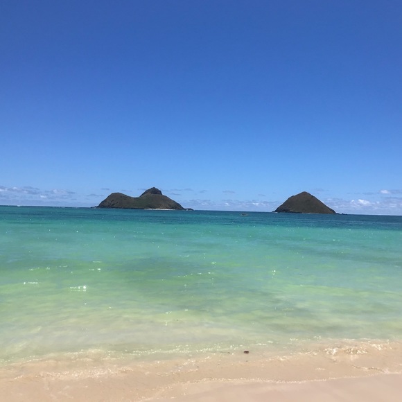 Profile Picture of Candice Gillett (@pradabelle) on Poshmark