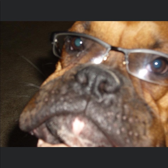 Profile Picture of Easton Brevik (@eastonbrevik) on Poshmark