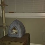 Profile Picture of Ken Inouye (@hurtz_mcgroin) on Instagram