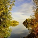 Profile Picture of zhukova (@primus_pvdavictorpyhov) on Instagram