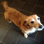 Profile Picture of Keith Appleton (@appletonkeith) on Instagram