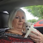 Profile Picture of Judy Bonner (@judy_bonner) on Instagram