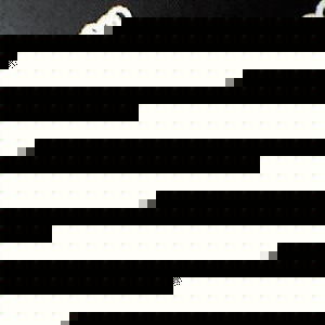 Profile Picture of Bob Van De Putte (@395908908) on Myspace