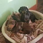 Profile Picture of Jeanine Wallace (@wallace.jeanine) on Instagram