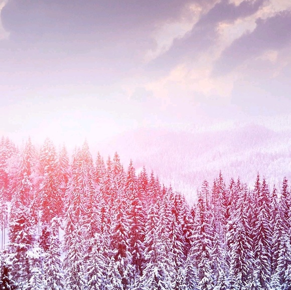 Profile Picture of Madison Gruny (@grunyma) on Poshmark