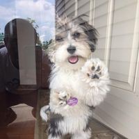 Profile Picture of Cindy Trainor (@cindy-trainor-1) on Quora