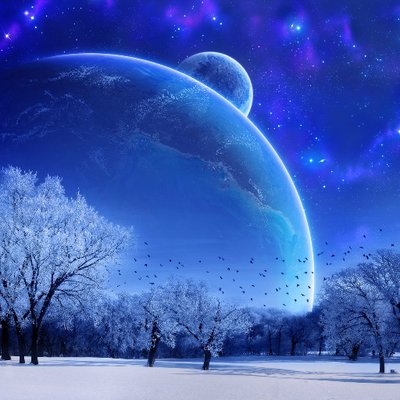 Profile Picture of Kit Tam (@KitTamMo) on Twitter