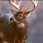 Profile Picture of Dustin Bedwell (@hunt_kings2015) on Instagram