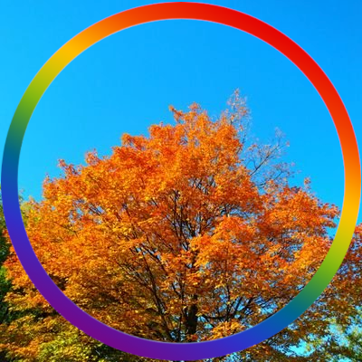 Profile Picture of SaveMoreODAAT (@MarySeaSimard22) on Twitter