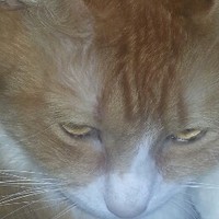Profile Picture of Daniel Sanders (@daniel-sanders-36) on Quora