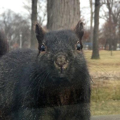 Daniel Mears - Twitter Profile Picture of Daniel Mears (@MearsDaniel) on Twitter