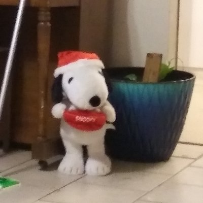 Profile Picture of Amy Atchison (@AmyAtchison6) on Twitter