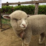 Profile Picture of tera (@tera.buzz) on Instagram