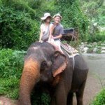 Profile Picture of Stephen Tsai (@thunderbolted) on Instagram