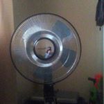 Profile Picture of jacob_wiens (@jakethegr8_5320) on Instagram