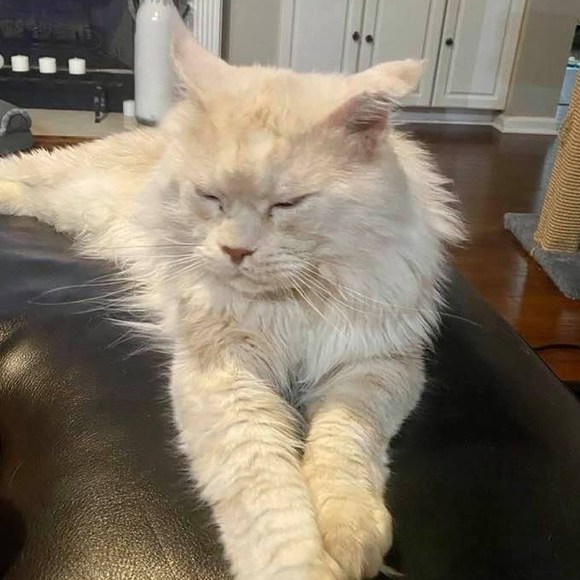 Profile Picture of Shannon Fillmer (@saige98) on Poshmark