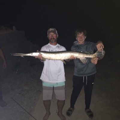 Profile Picture of Mitch Mahoney (@MitchMahoney7) on Twitter