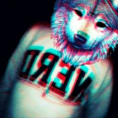 Profile Picture of Gabriel Horvath (@Zoa_G) on Twitter