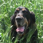 Profile Picture of Scott Yuenger (@yuengerscott) on Instagram