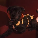 Profile Picture of Nancy Simnitt (@nancy.simnitt) on Facebook