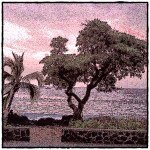 Profile Picture of Mike D (@green_saber_jedi) on Instagram