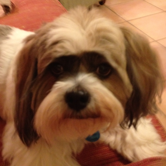 Profile Picture of Diane Parsonnet (@bch2mtns723) on Poshmark