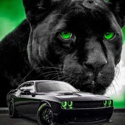 Profile Picture of Marla Graham (@marlagr02305003) on Twitter