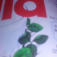 Profile Picture of Léo Poirier (@LoPoirier5) on Twitter