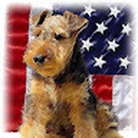 Profile Picture of Michael Fjerstad (@michael-fjerstad) on Quora