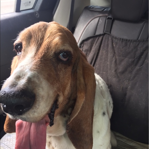 Profile Picture of Sabrina Buffham (@coopsmom78) on Poshmark