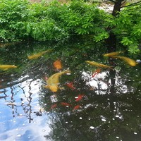 Lorie Aikins - Quora Profile Picture of Lorie Aikins (@lorie-aikins) on Quora